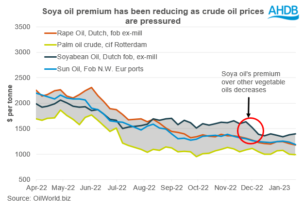 Graph showing soya oils premium has been reducing in the vegetable oil complex